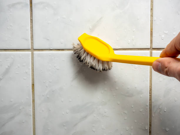 Best Mold Remediation  in Okemos, MI