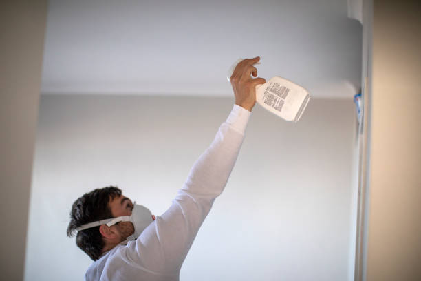 Best Toxic Mold Removal  in Okemos, MI
