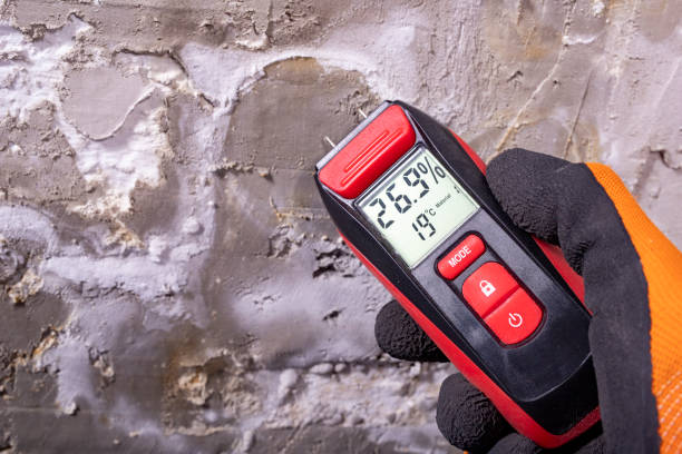 Trusted Okemos, MI Mold Removal Experts