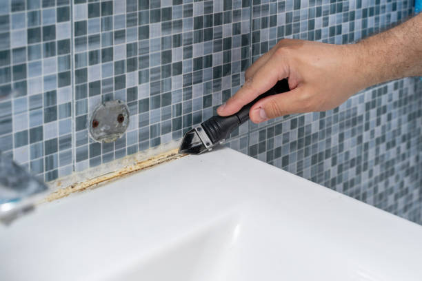 Reliable Okemos, MI Mold Removal Solutions